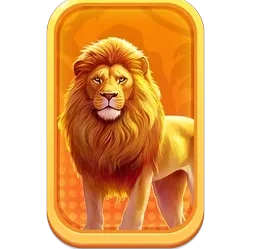 Lion
Safari